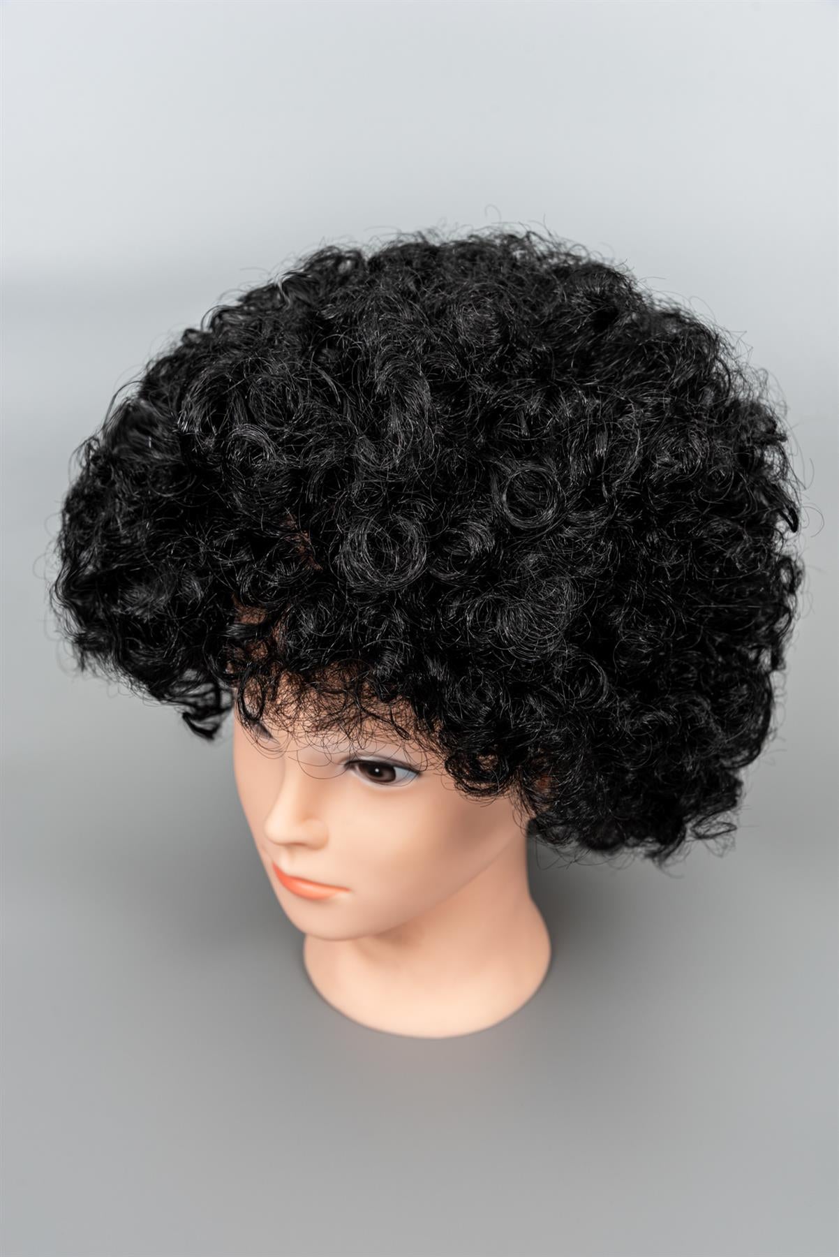 Black Curly Afro Wig 70s