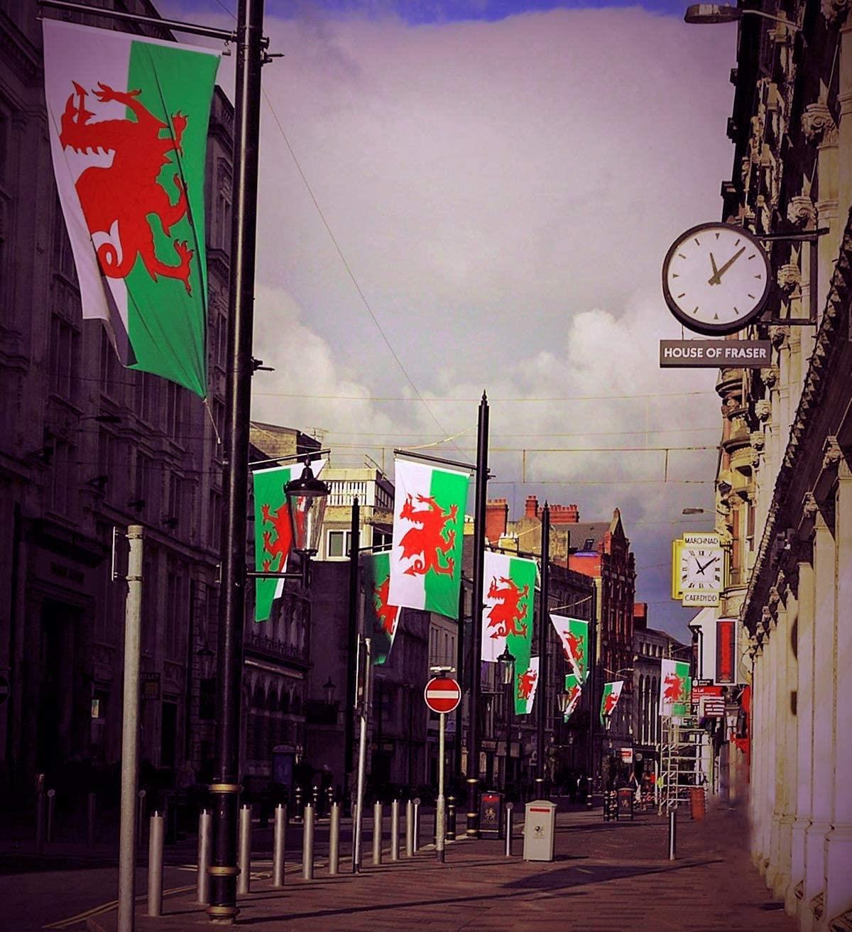 Wales Flag - 5x3ft with Eyelets