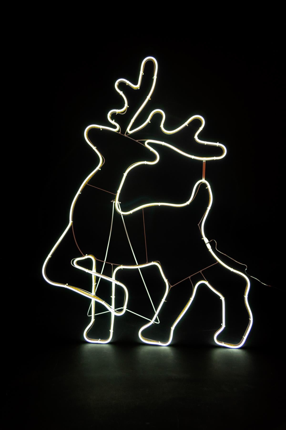 Walking Reindeer Rope Light (Cool White) 100 x 65cm