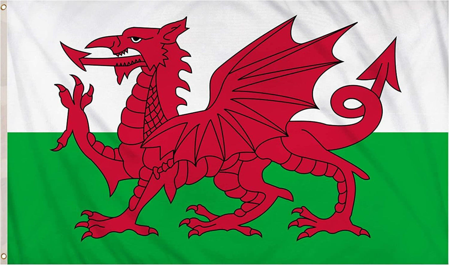 Wales Flag - 5x3ft with Eyelets