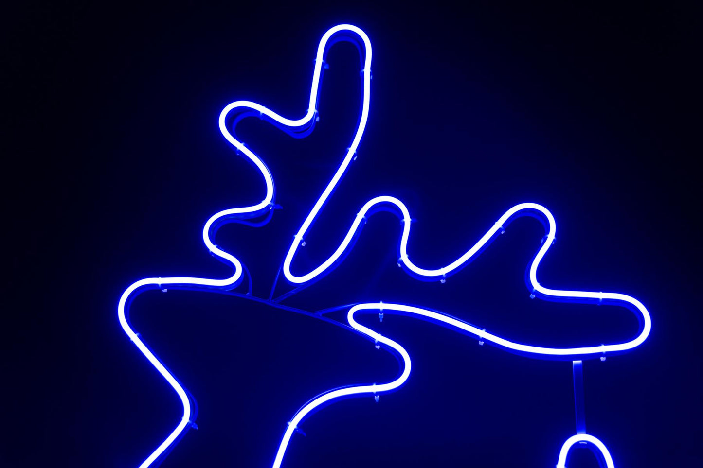 Walking Reindeer Rope Light Silhouette Blue 100 x 65cm