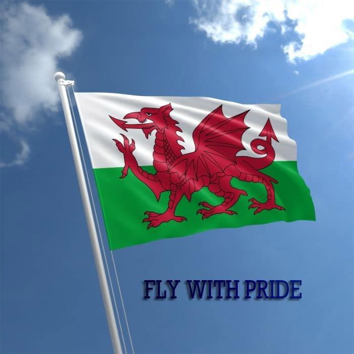 Wales Flag - 5x3ft with Eyelets