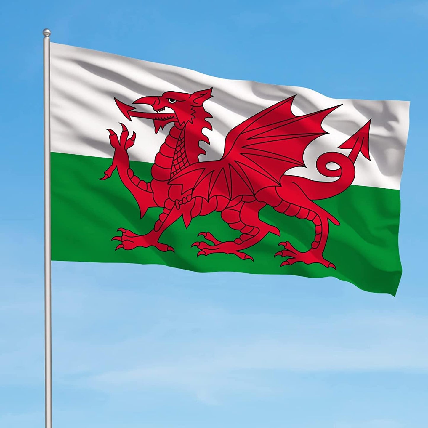 Welsh Flag 2ft x 3ft