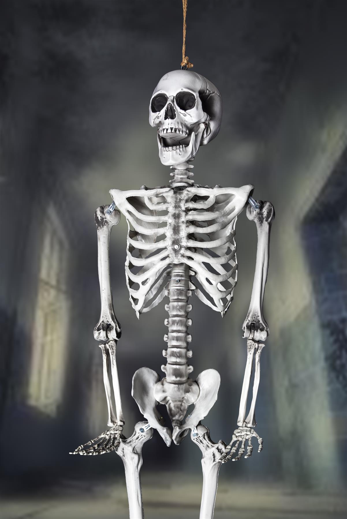 165cm Halloween Poseable Skeleton Decoration