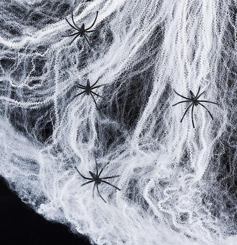 5pk Halloween Spider Web with 4 Spiders