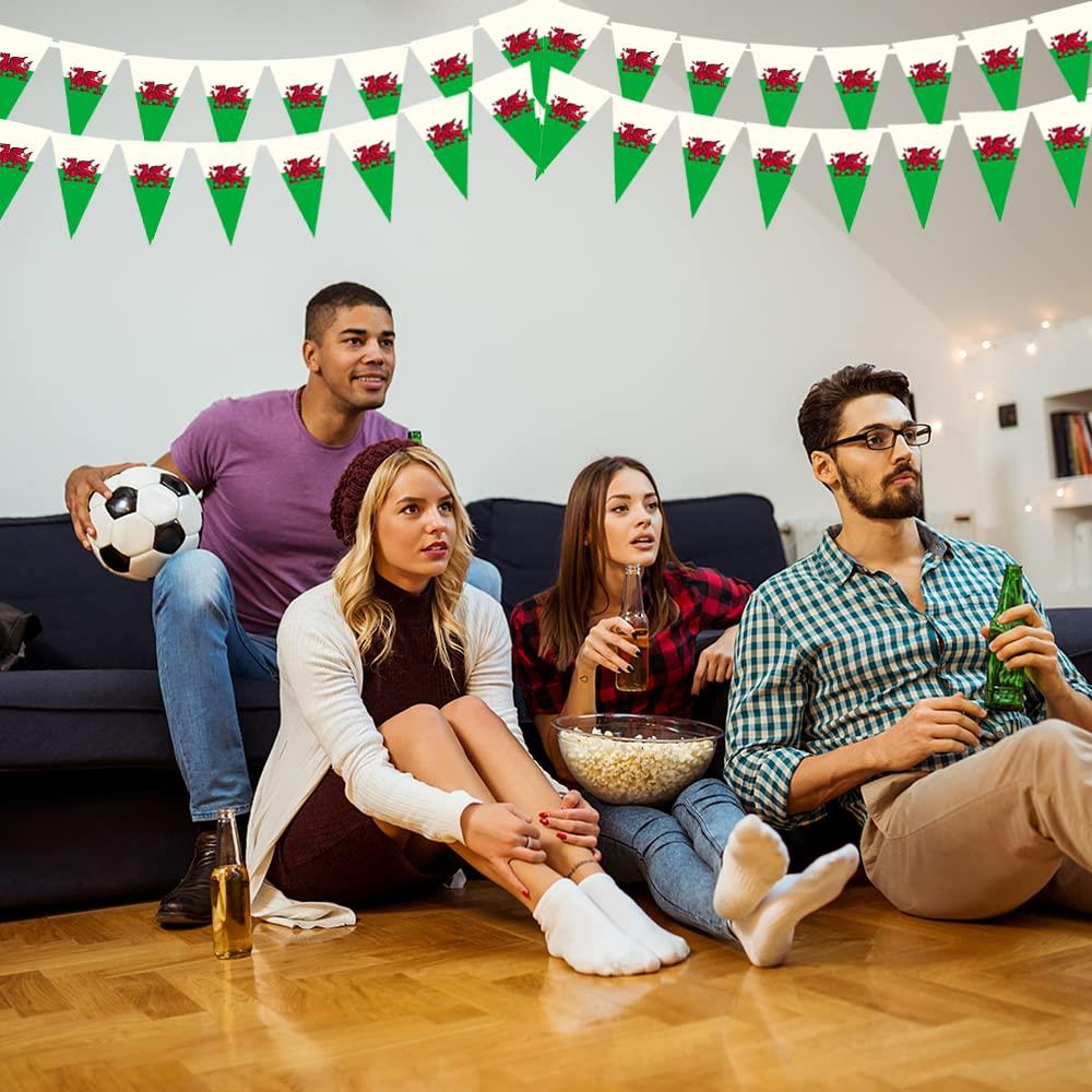 Welsh Triangle 20X30CM Bunting 10M 25Flags