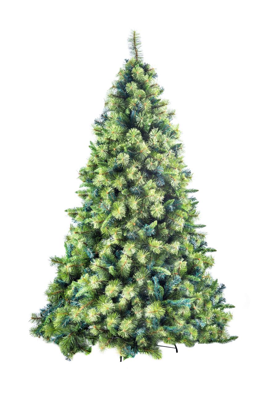6Ft Kentucky Pine Plain Christmas Tree