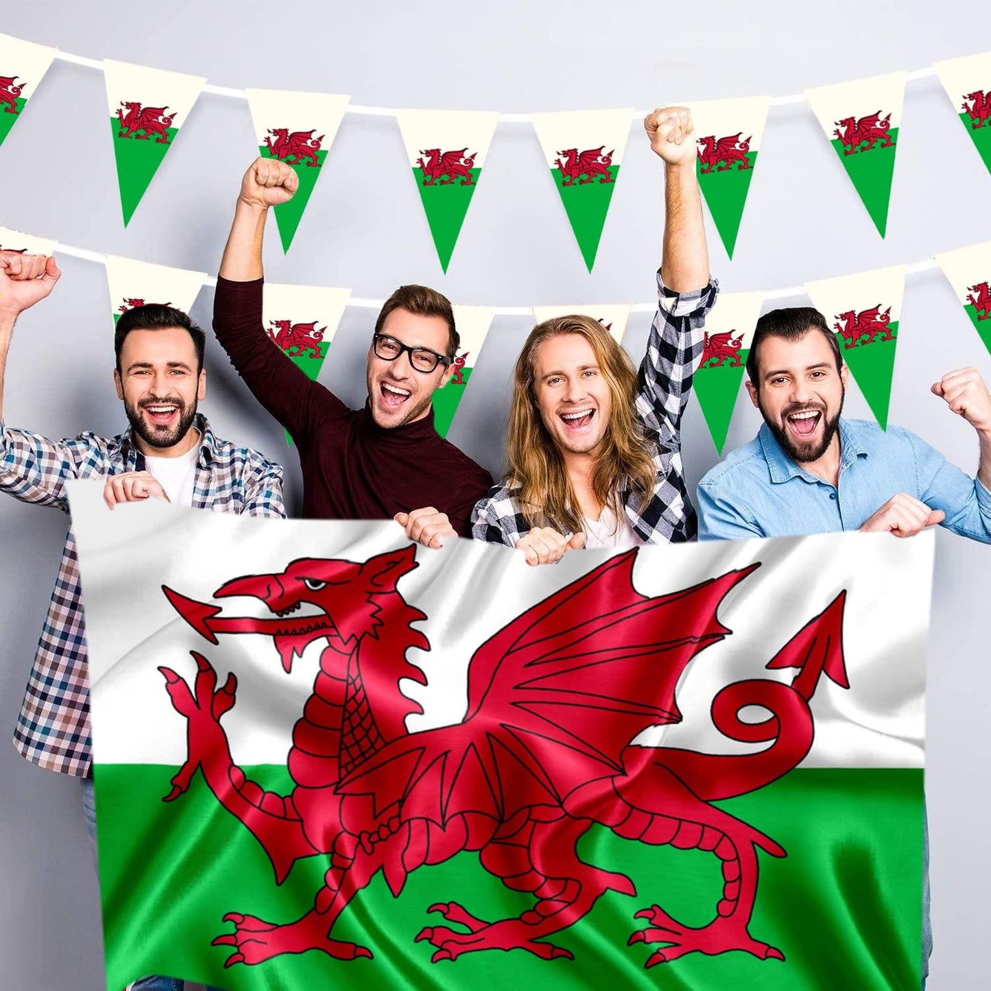 Welsh Triangle 20X30CM Bunting 10M 25Flags