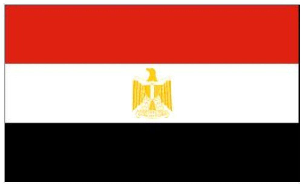 Egypt Flag 5x3ft With Eyelets