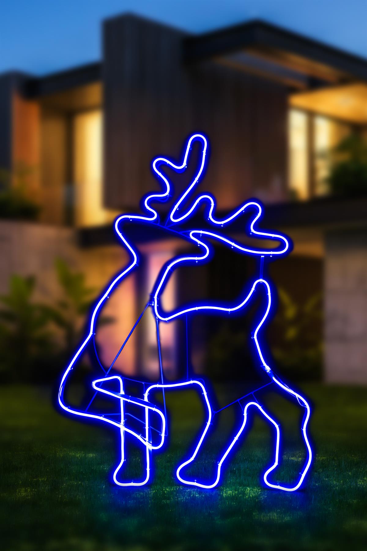 Walking Reindeer Rope Light Silhouette Blue 100 x 65cm