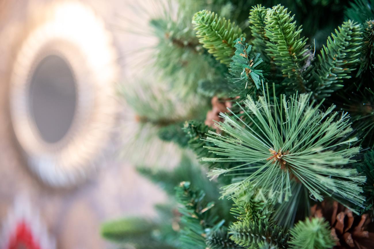 7Ft Californian Boulder Pine Christmas Tree - 210cm