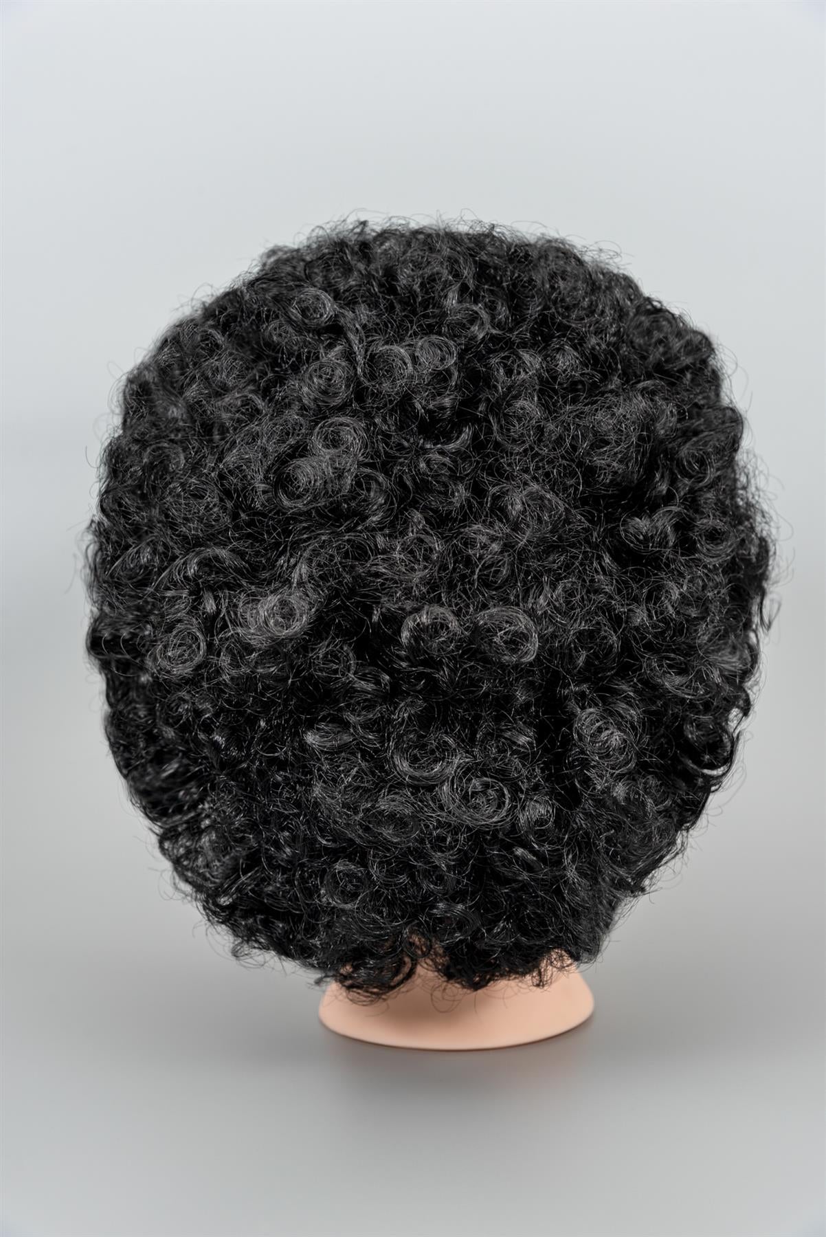 Black Curly Afro Wig 70s