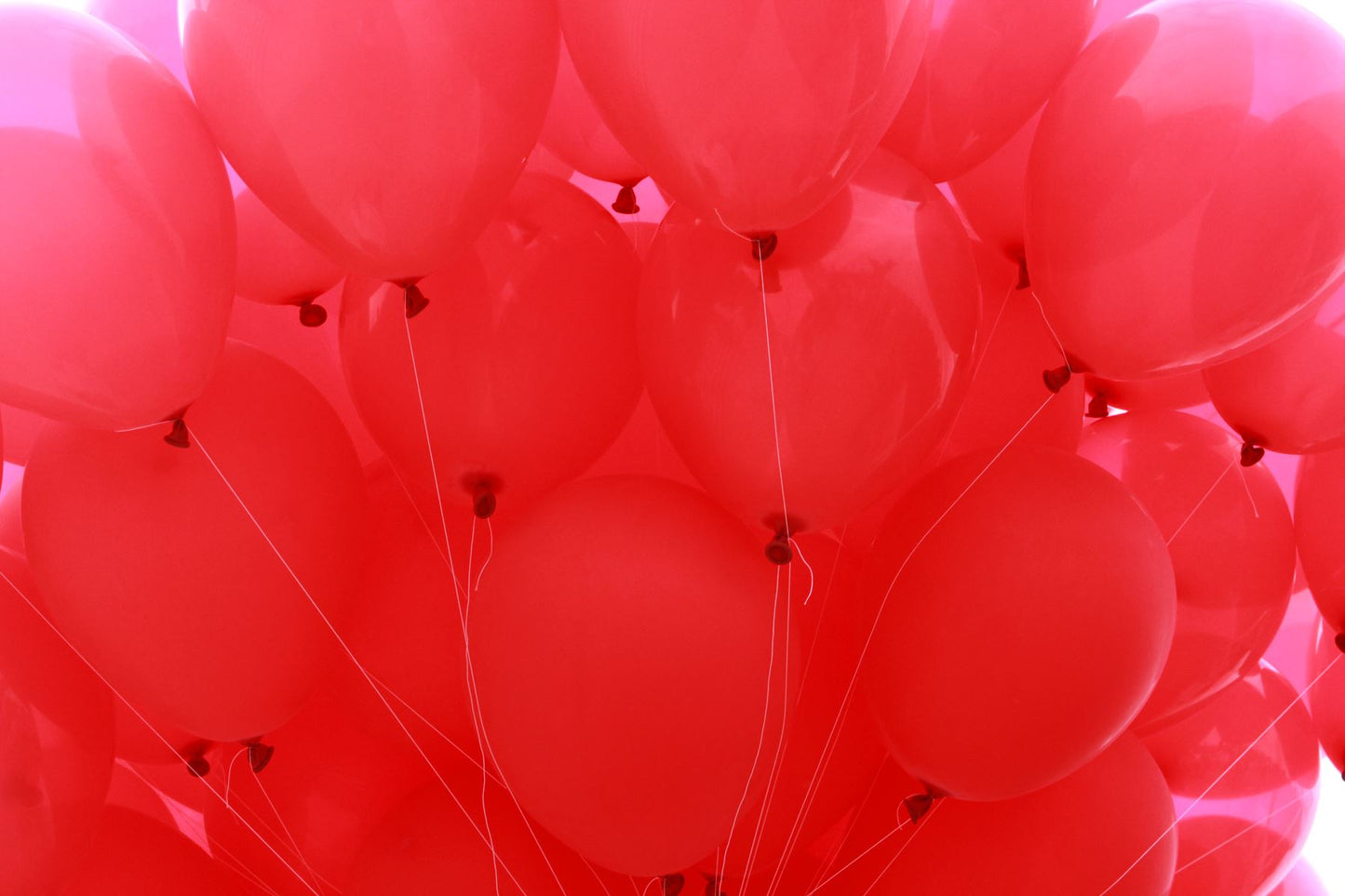 12" Red Latex Balloons (50 pcs)