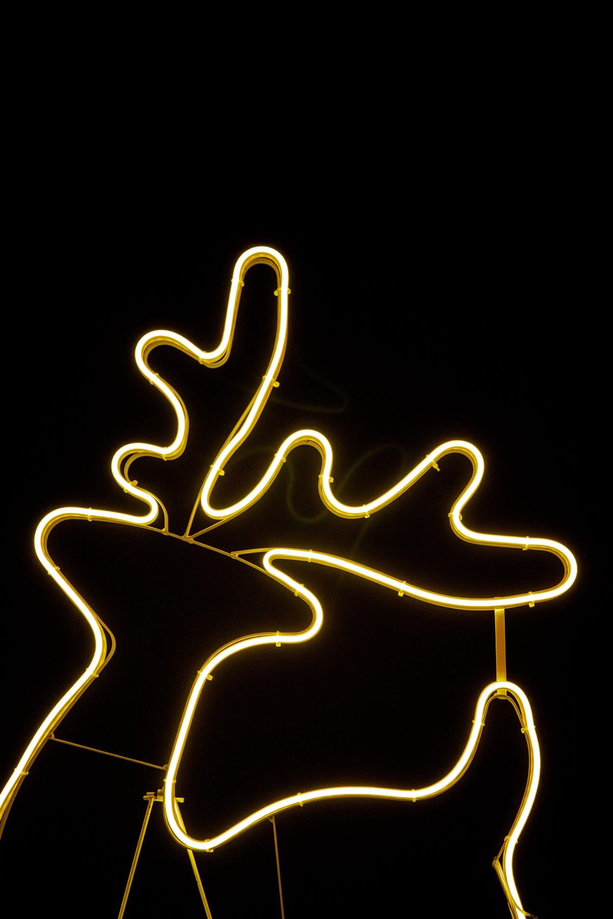 Walking Reindeer Rope Light Silhouette - Warm White, 100 x 65cm