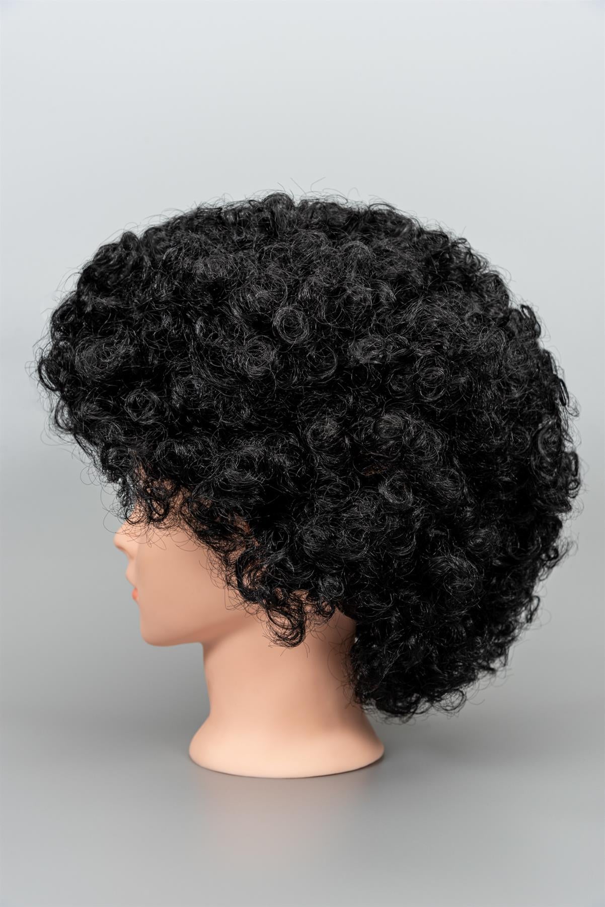 Black Curly Afro Wig 70s