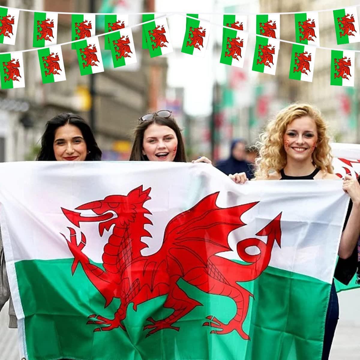 Wales Flag - 5x3ft with Eyelets