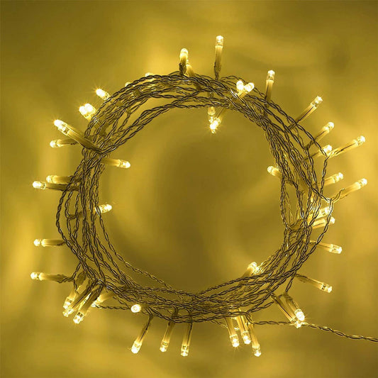 20 LED Fairy Lights (Battery Operated)