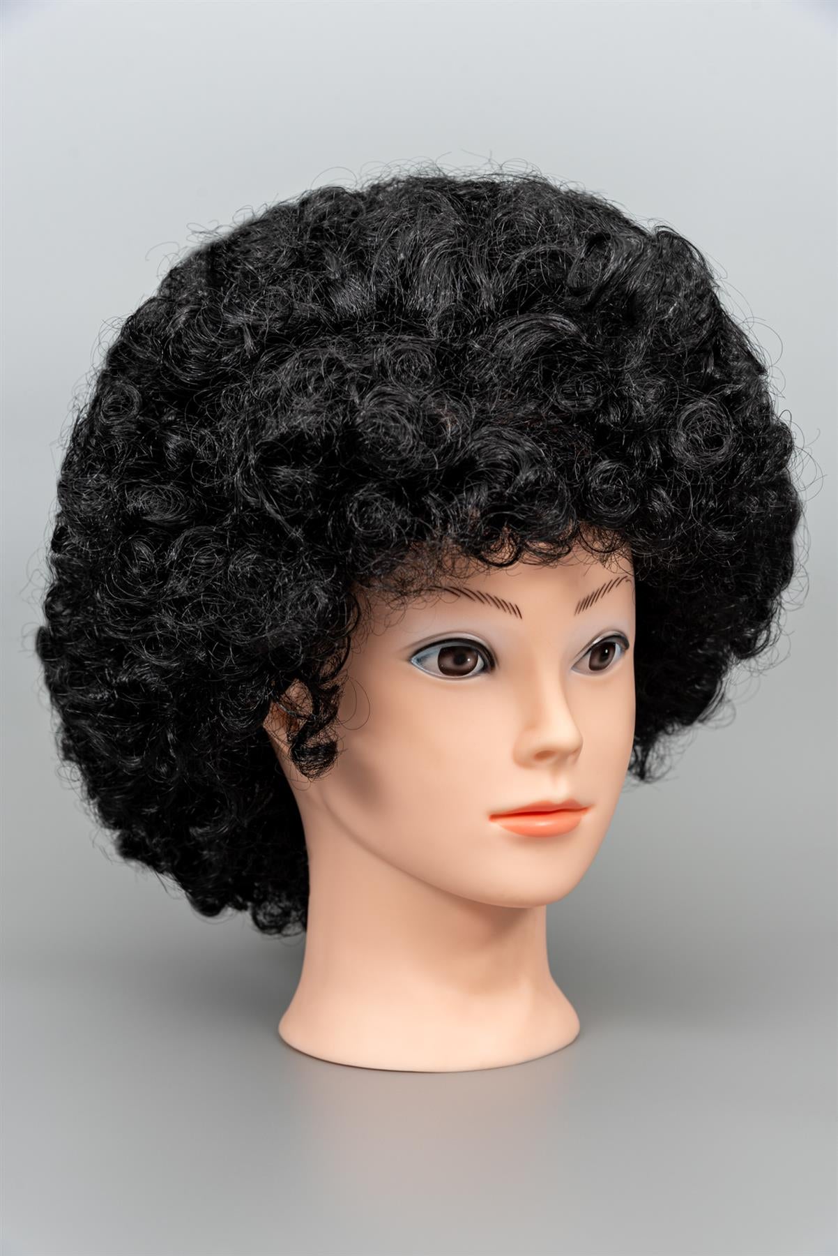 Black Curly Afro Wig 70s