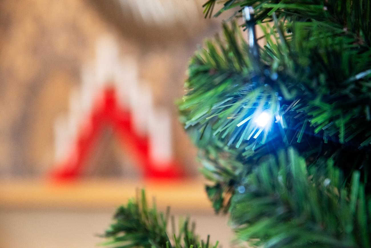 7ft Pre-Lit Alaskan Pine Tree with Green and White LEDs