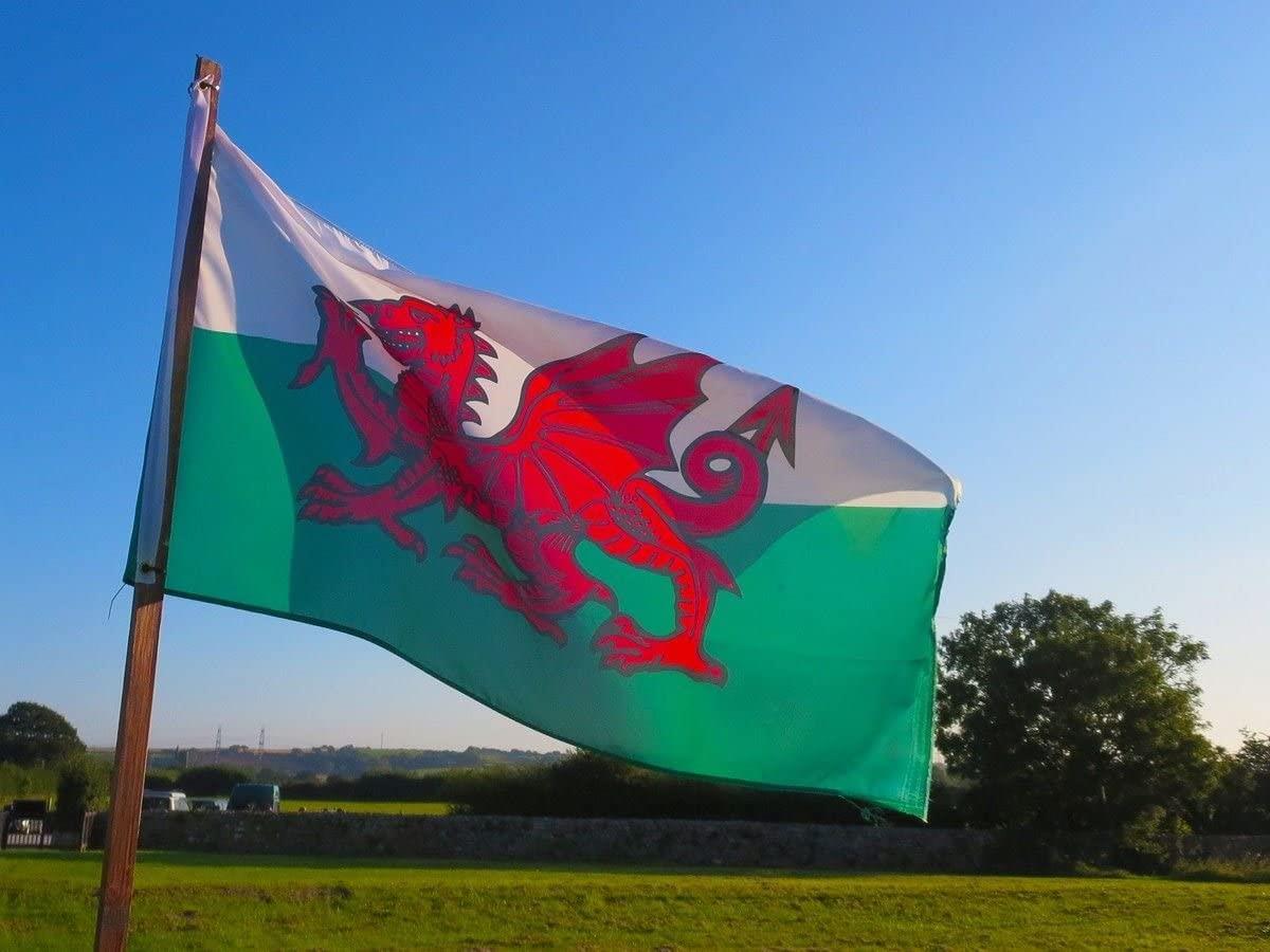 Welsh Flag - 8ft x 5ft with Eyelets