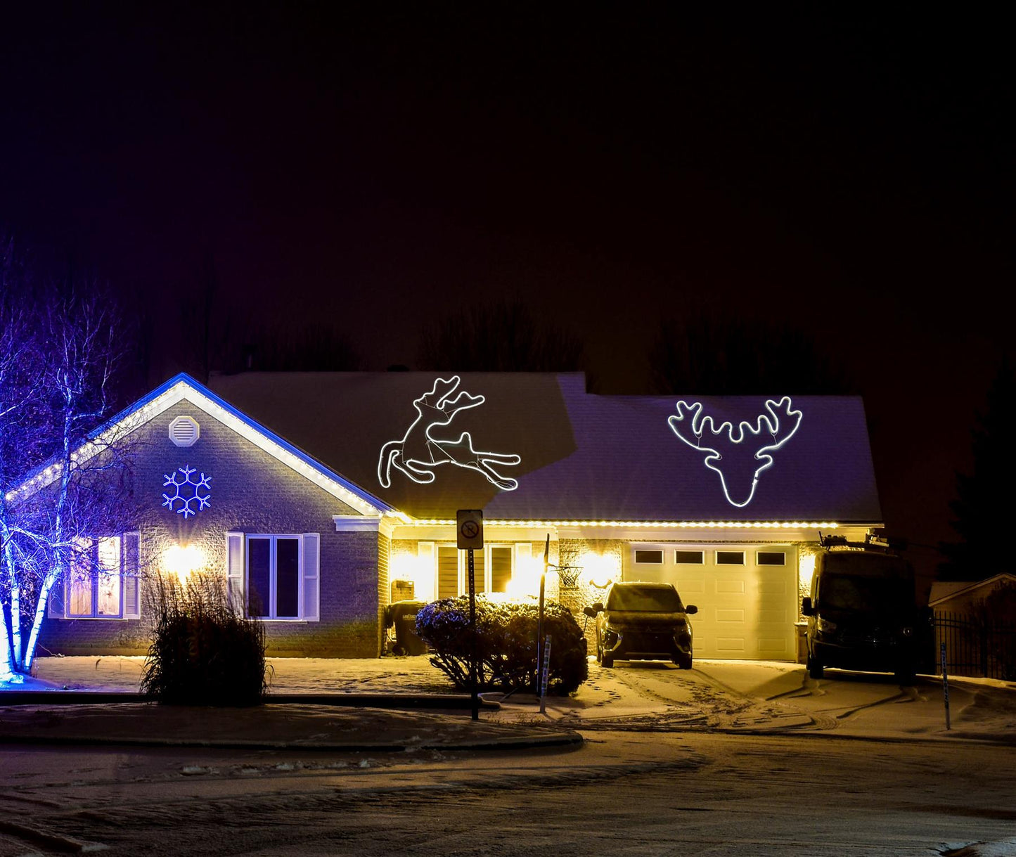 Stag Head Rope Light