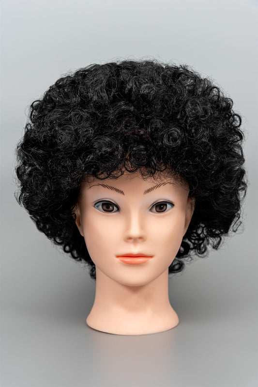 Black Curly Afro Wig 70s