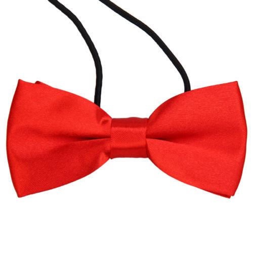 Red Dickie Bow Tie