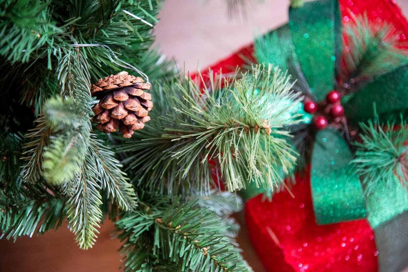 7Ft Californian Boulder Pine Christmas Tree - 210cm