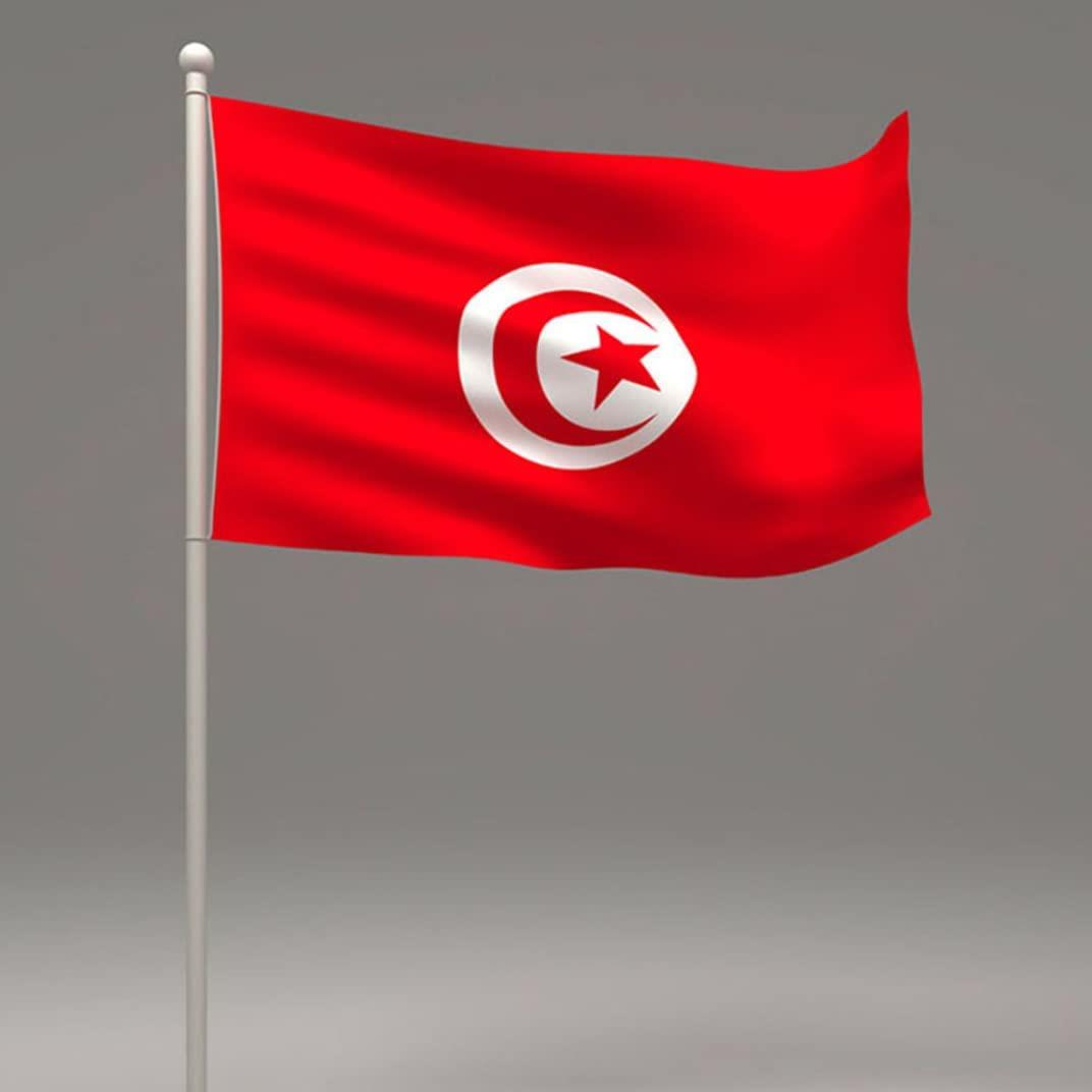 Tunisia Flag 5 x 3ft