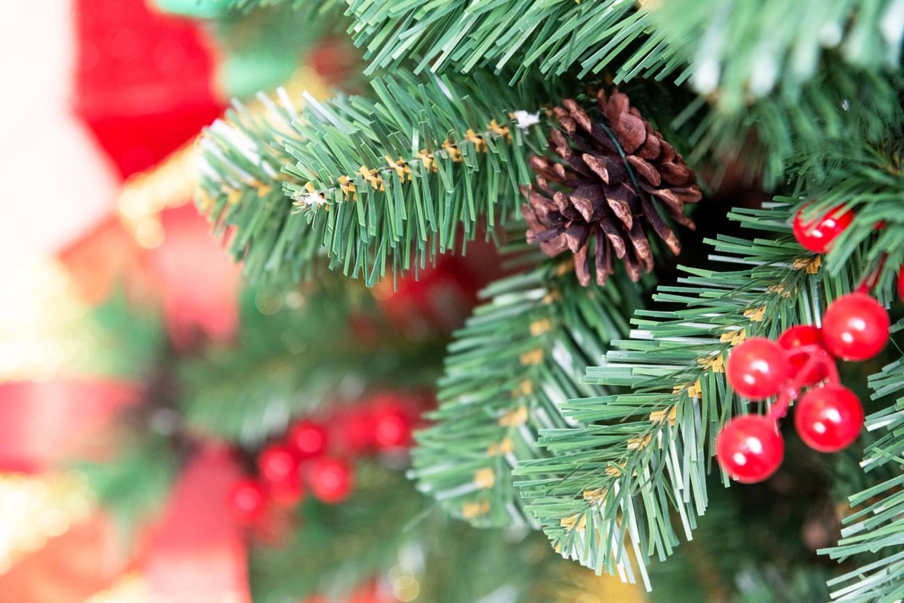 8ft Pre-Lit Maryland Fir Christmas Tree