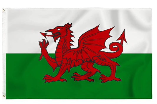 Wales Flag - 5x3ft with Eyelets