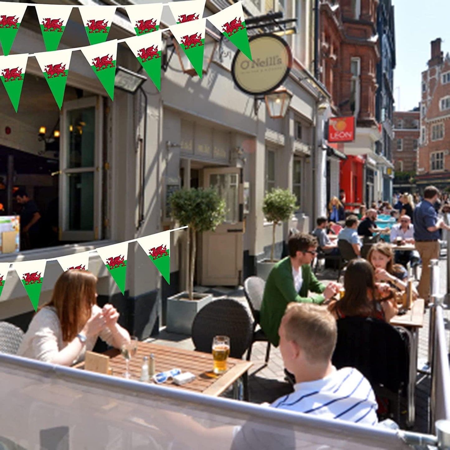 Welsh Triangle 20X30CM Bunting 10M 25Flags
