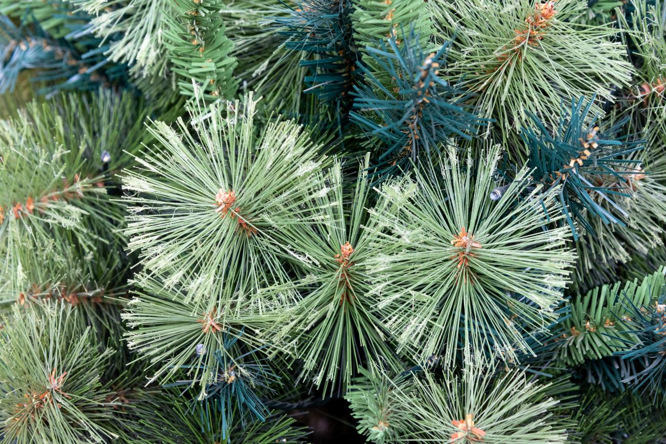 8ft Bushy Green Kentucky Pine Christmas Tree, 240cm Pre-Lit